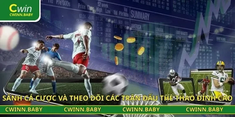 Sảnh cá cược và theo dõi các trận đấu thể thao đỉnh cao